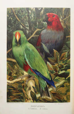 Гааке В. Происхождение животного мира. СПб, 1902.